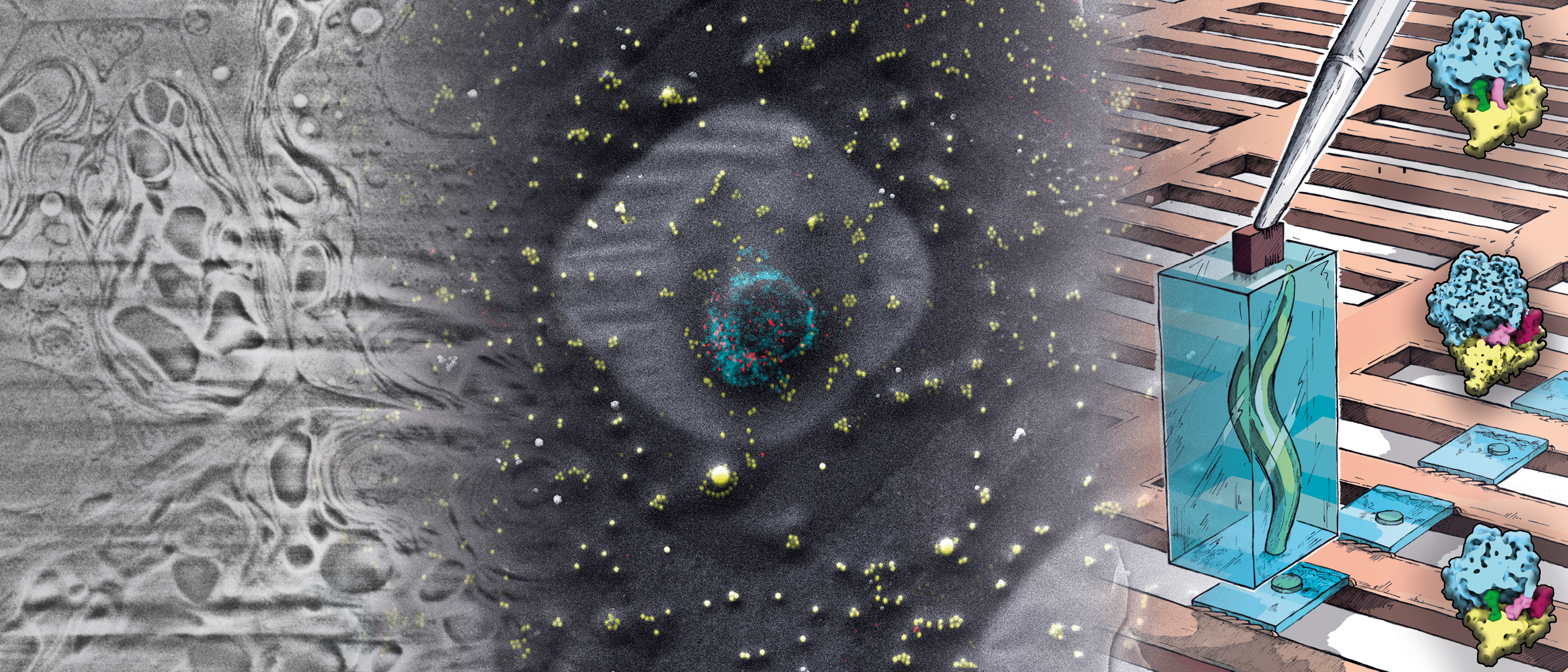 Architecture Diagram